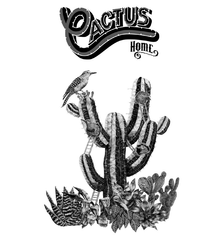 illustration mikael moune cactus.jpg - Mikal MOUNE | Virginie